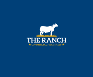 THE RANCH Commercial Meat Sheep | Logo Design by Buck Tornado