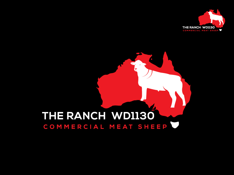 Logo Design by esolztech for this project | Design #19891813