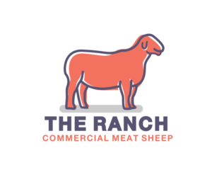 Logo Design by Shapeshifter!
