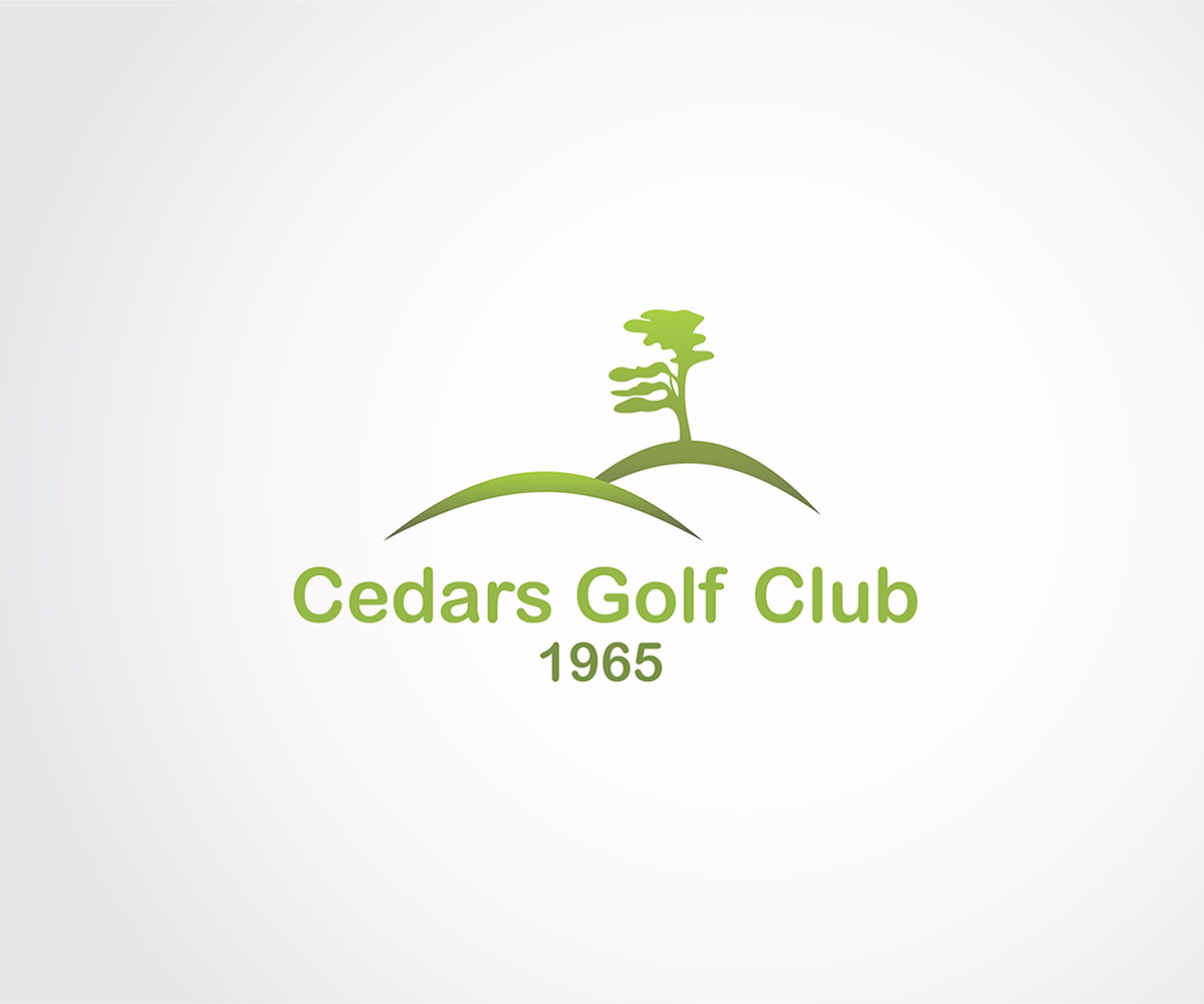 Logo Design by Constantine Derbin for this project | Design #2922351