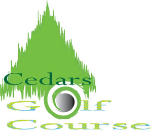 Logo Design by MAHNOOR for this project | Design: #2911225