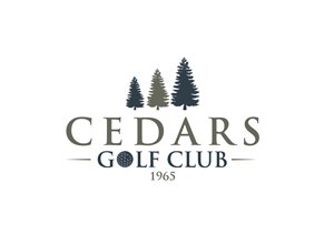 Diseño de Logo por Artisy