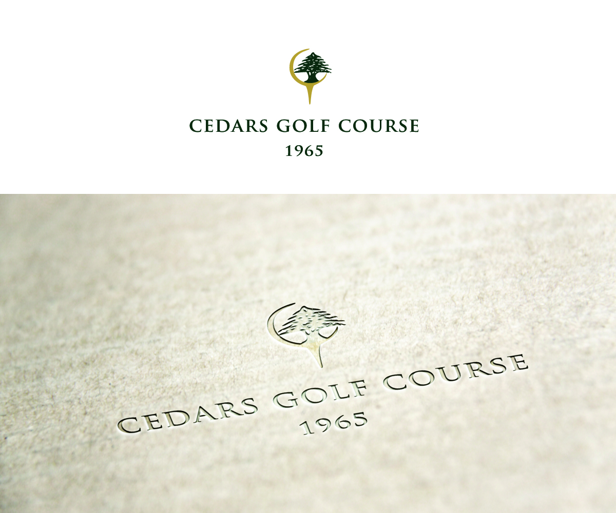 Logo Design by ChicD for this project | Design #2915621