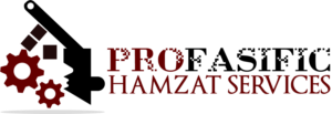 Logo Design by Bumfuzzle Design