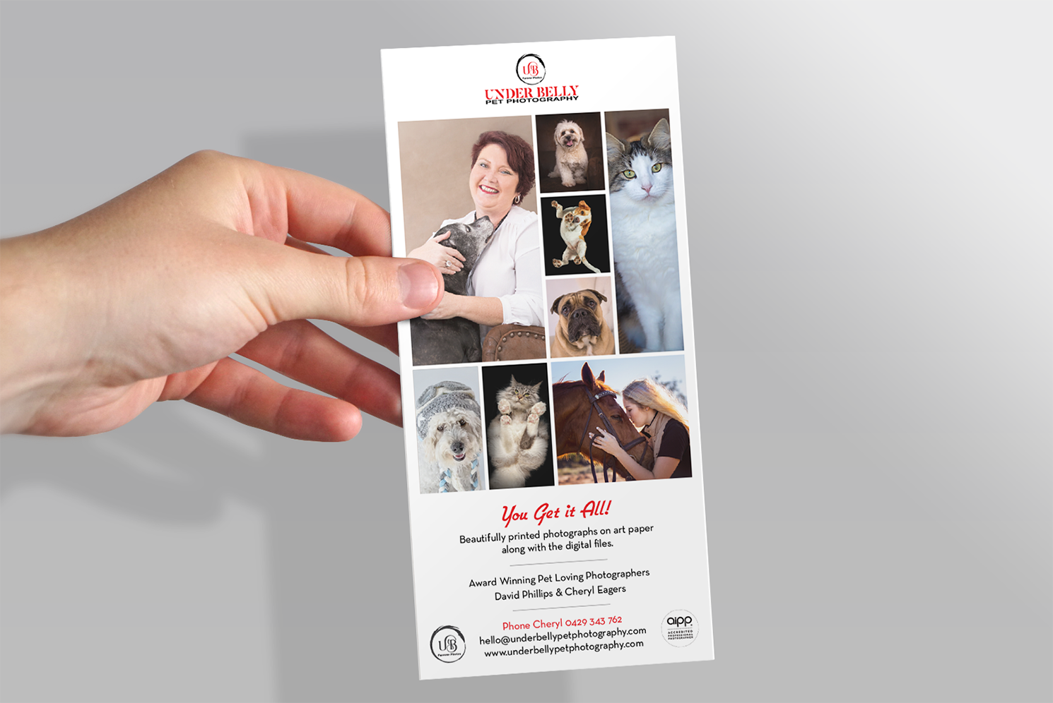 Design de Flyer par Alexandar pour ce projet | Design #19917189