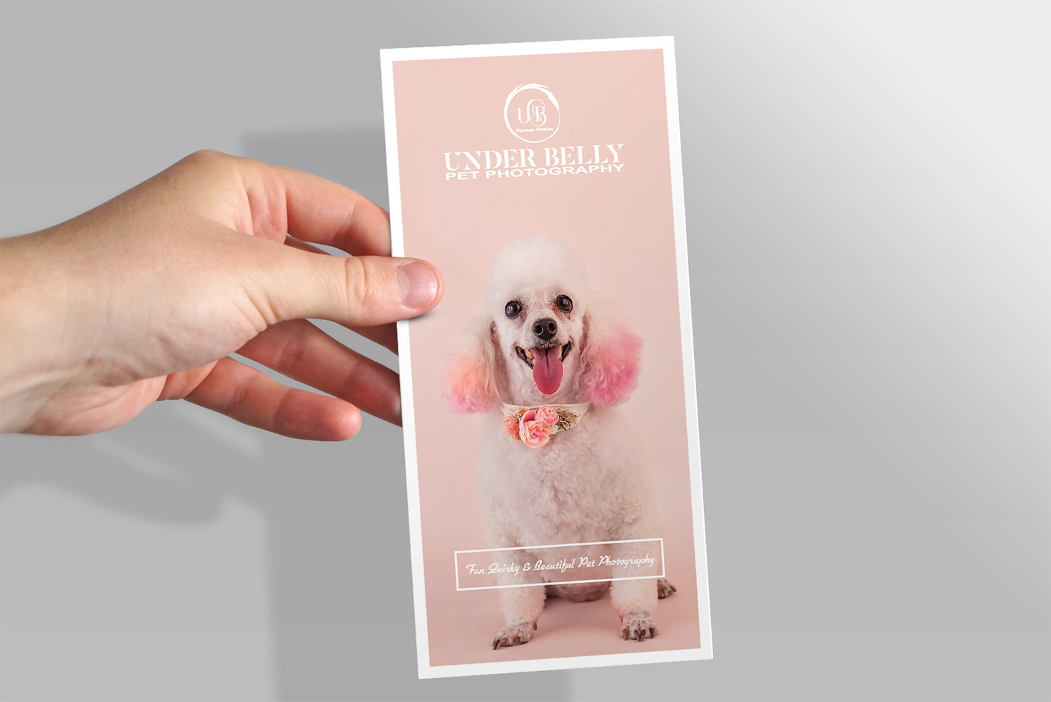 Design de Flyer par Alexandar pour ce projet | Design #19917190