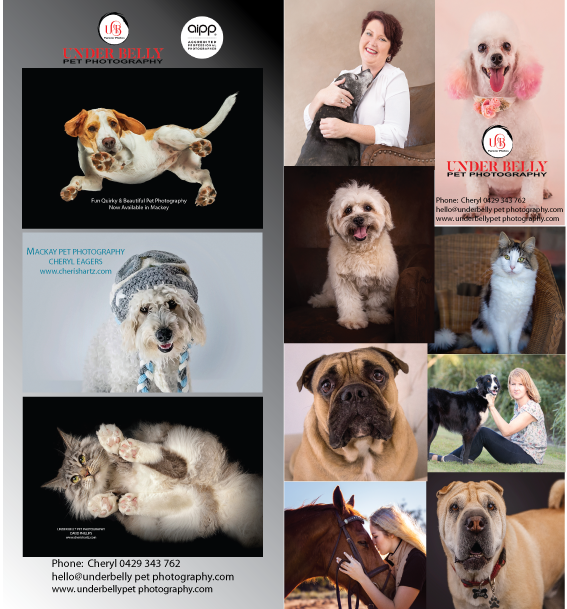 Design de Flyer par archranbelo pour ce projet | Design #19931126