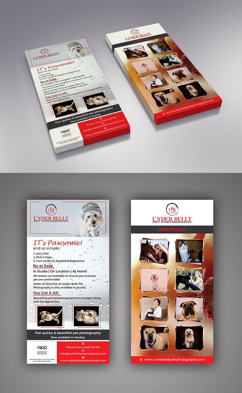 Design de Flyer par ecorokerz pour ce projet | Design #19908762