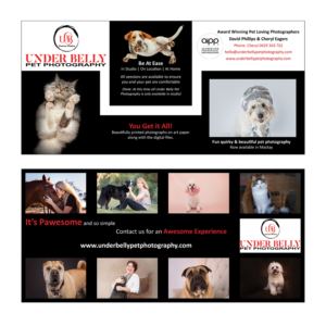 Design de Flyer par Skybluedesignstudio pour ce projet | Design #19952305