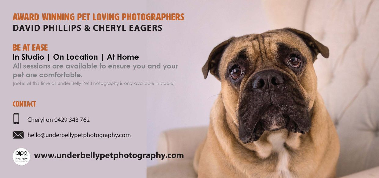 Design de Flyer par Tracy 6 pour ce projet | Design #19939159