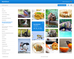 Photo Storage Service - Web Application | Web Design by lemosys infotech