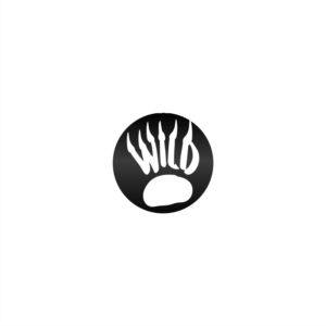 Diseño de Logo por SteffySummer para este proyecto | Diseño: #19978529