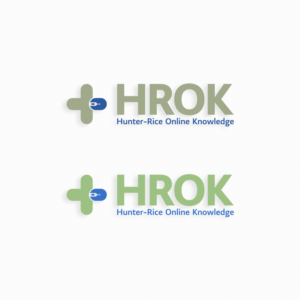 Could be initials HROK, or spelled out--Hunter-Rice Online Knowledge | Logo Design by Visifine
