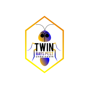 Design Image