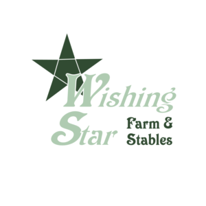 Logo Design by Beerhog Ltd