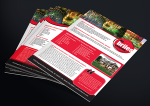 Flyer Design by Deziners Zone for The Briles Company | Design: #19952163
