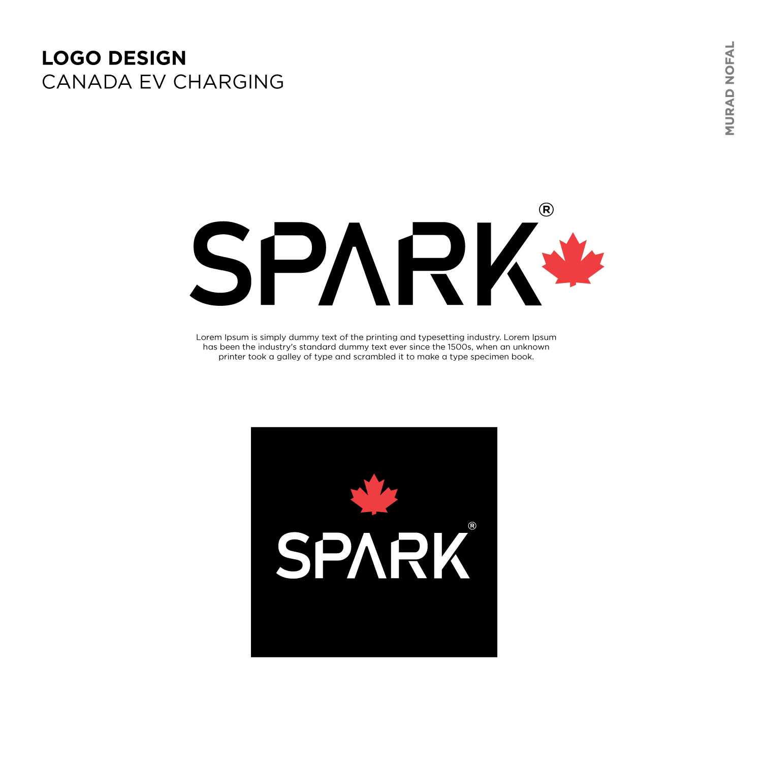 Logo-Design von Murad Nofal für dieses Projekt | Design #19931154