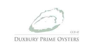 Logo Design by IBdesign+