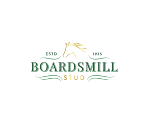 'BOARDSMILL STUD' or 'BOARDSMILL' | Logo Design by 91.kremena.petrova