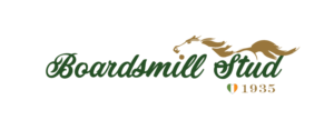 Logo Design by IBdesign+