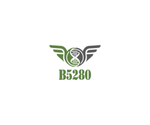 B5280 | Logo Design by Mario