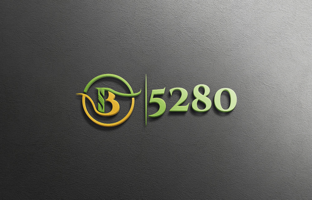 Logo Design by rocklee for this project | Design #19969559