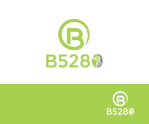 B5280 | Logo Design by ynm50 2