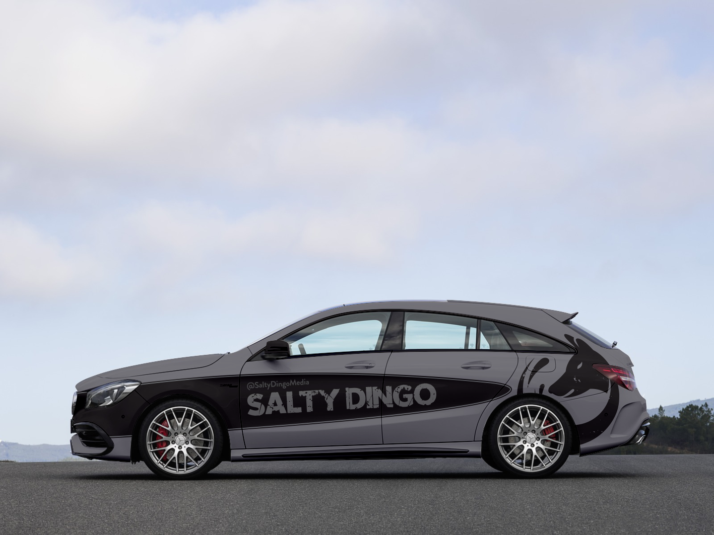Car Wrap Design by Anung Shudax for Salty Dingo | Design #19982632
