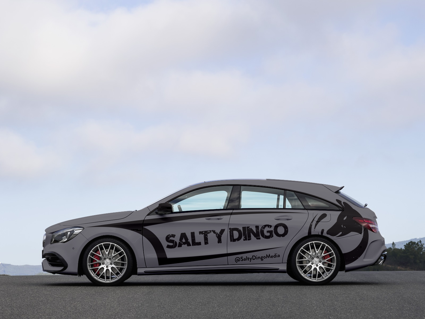 Car Wrap Design by Anung Shudax for Salty Dingo | Design #19982634