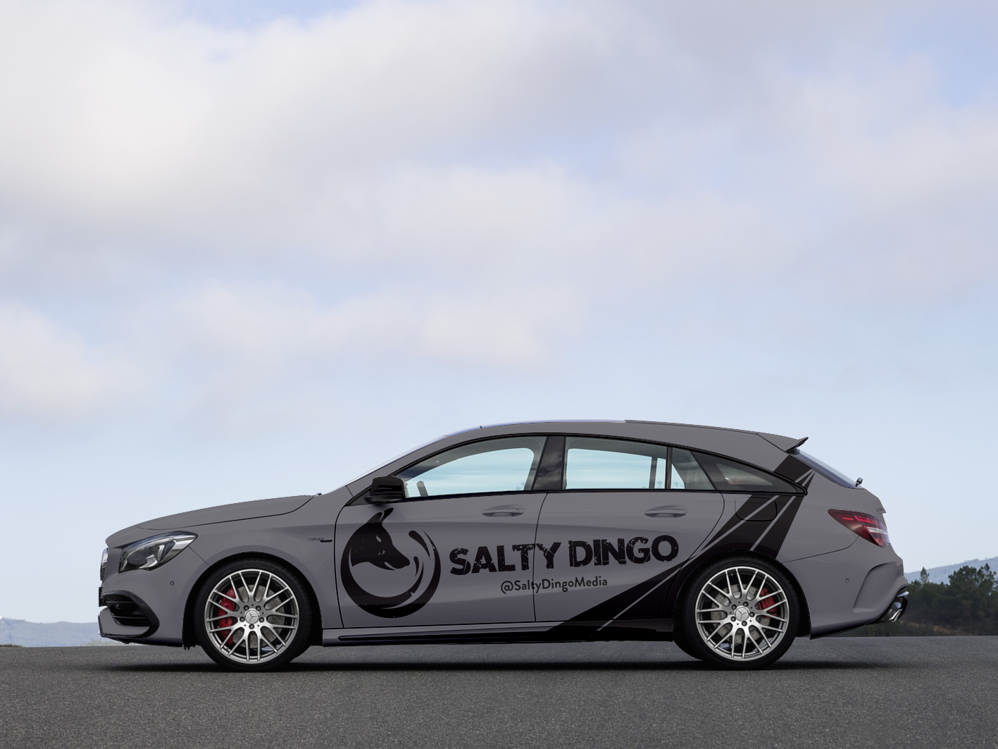 Diseño de Rotulación de Vehículo por Anung Shudax para Salty Dingo | Diseño #19982641