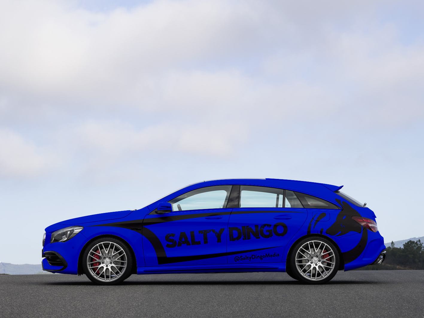 Car Wrap Design by Anung Shudax for Salty Dingo | Design #20004127