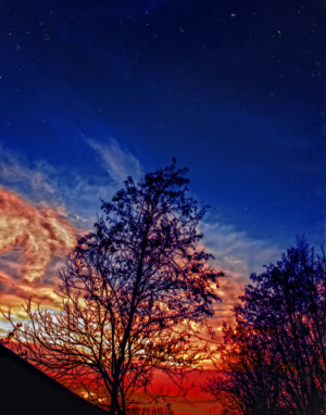Photography by kmokanek