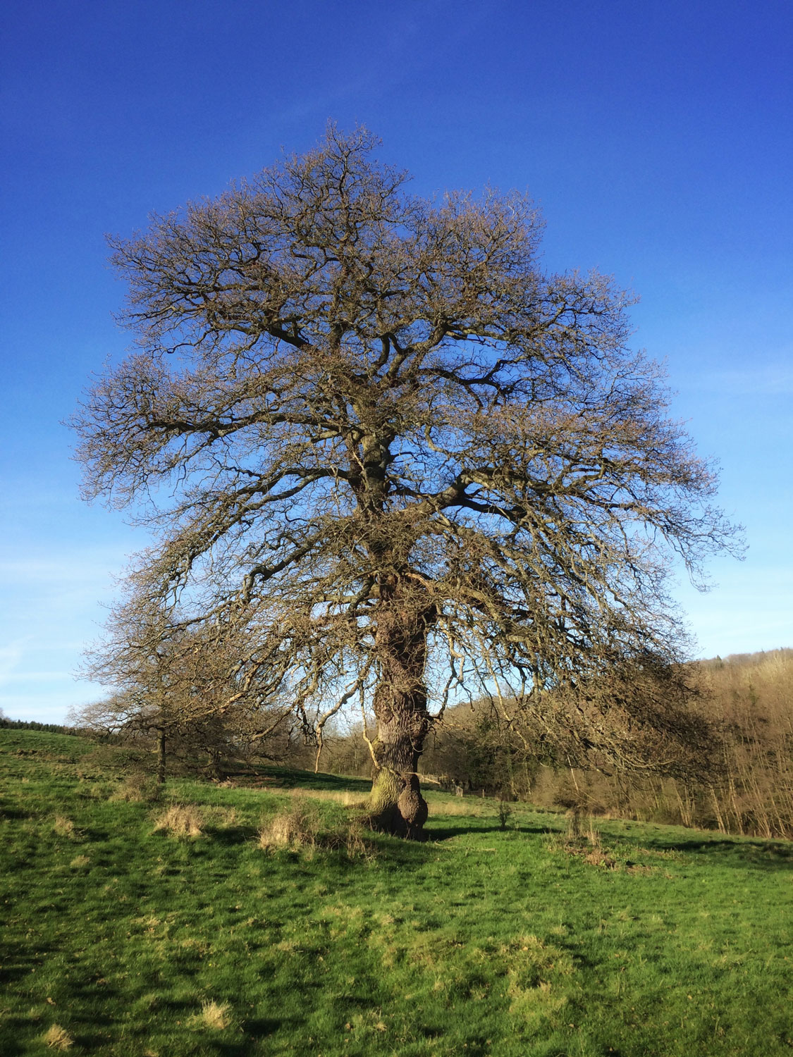 Photography by Mighty Dreia for DesignCrowd (Community Contests) | Design #20002327