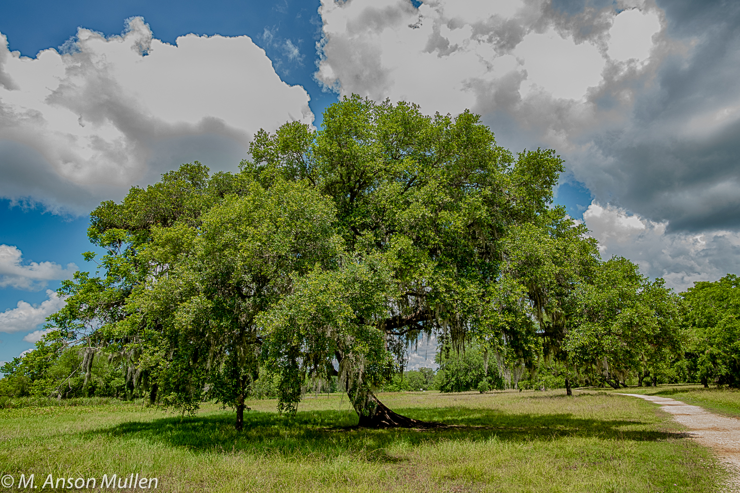 Photographie par Manson Nellum pour DesignCrowd (Community Contests) | Design #20141078