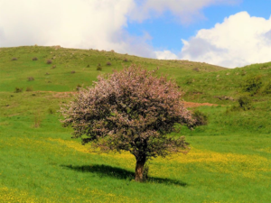 Photography by Ropique
