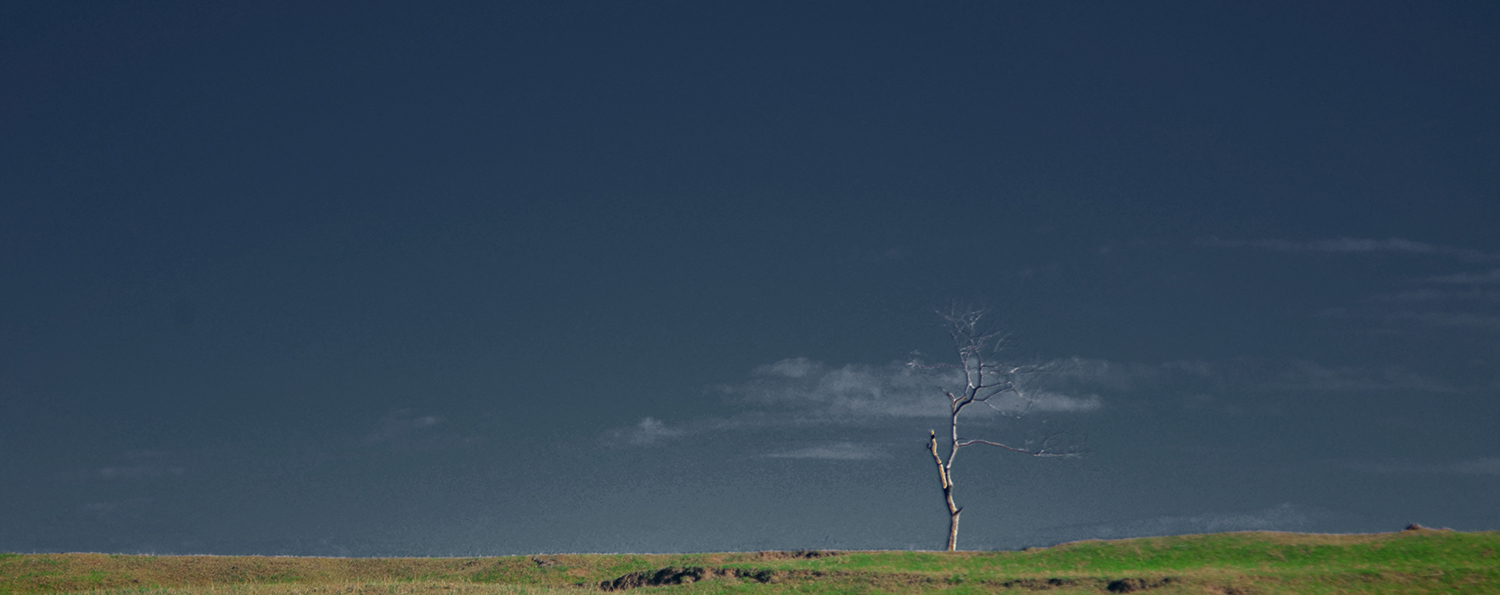 Photography by utkolok for DesignCrowd (Community Contests) | Design #20140490