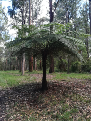 Photography by Anniell