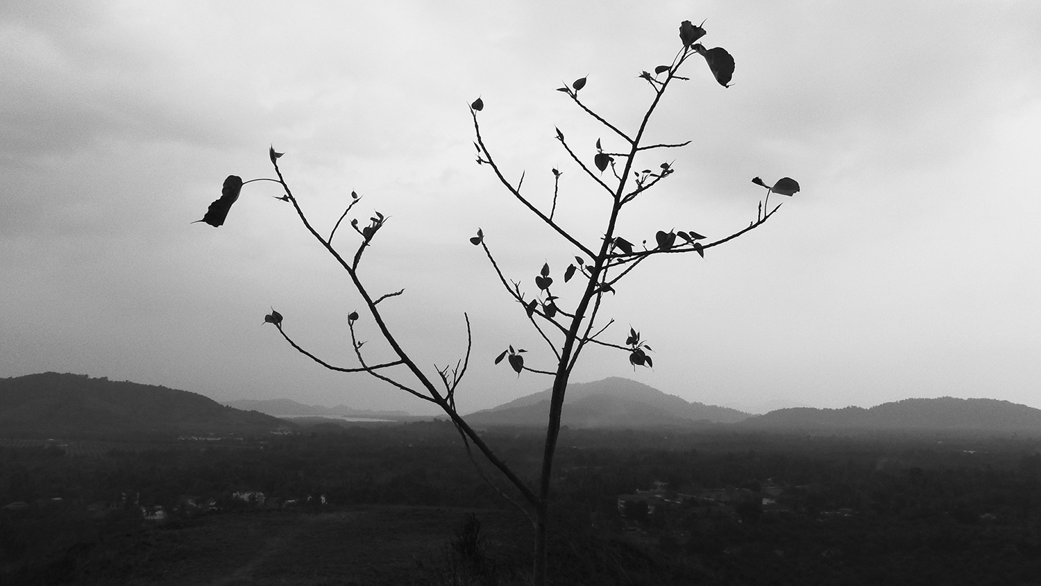 Fotografía por Matt Ingham para DesignCrowd (Community Contests) | Diseño #20050538