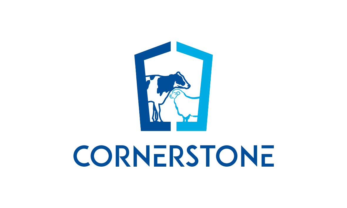 Logo-Design von trufya für Cornerstone 2016 Limited | Design #20025036