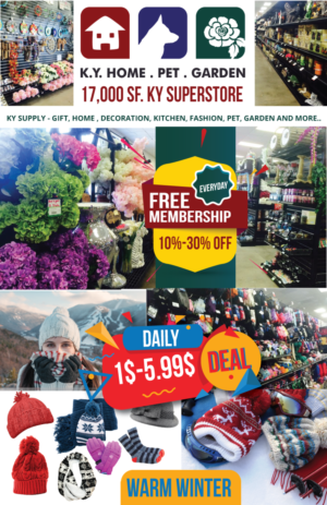 Flyer Design by Kristina Andonoff