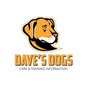Logo Design by Evoke.design
