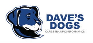 Logo Design by Evoke.design for this project | Design: #20021122