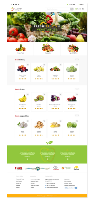 Web Design by primarydesigner2k9 for this project | Design #20019629