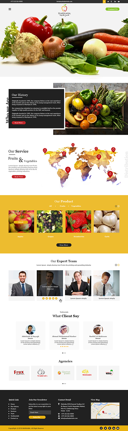 Web Design by bdesigner9 for this project | Design #19978496