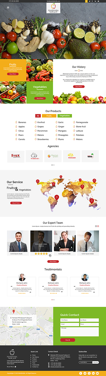 Web Design by bdesigner9 for this project | Design #19984077