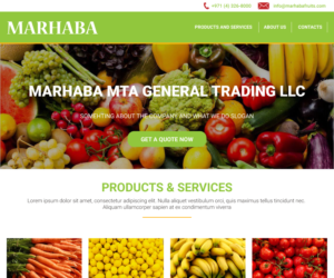 Web Design by Dian  Petev for this project | Design: #20003848