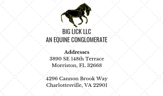 Business Card Design by Sharifah Suraya for Big Lick LLC | Design #19981422