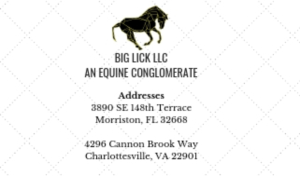 Business Card Design by Sharifah Suraya for Big Lick LLC | Design: #19981422