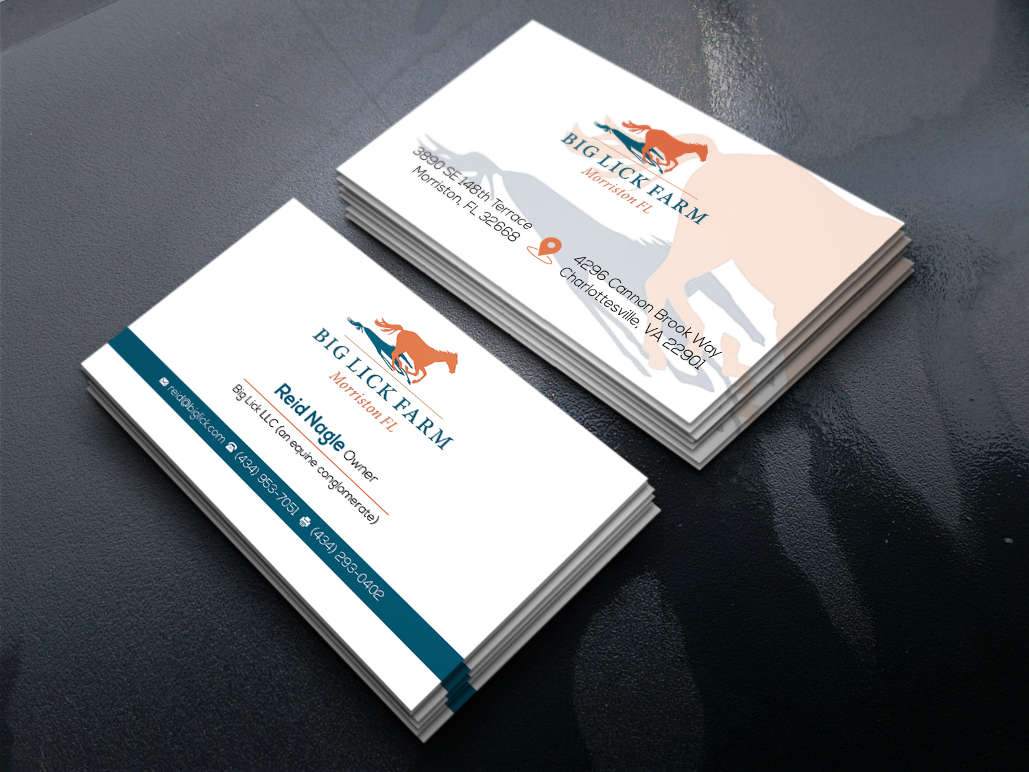 Design de Carte de Visite par DesignBird™ pour Big Lick LLC | Design #20036182