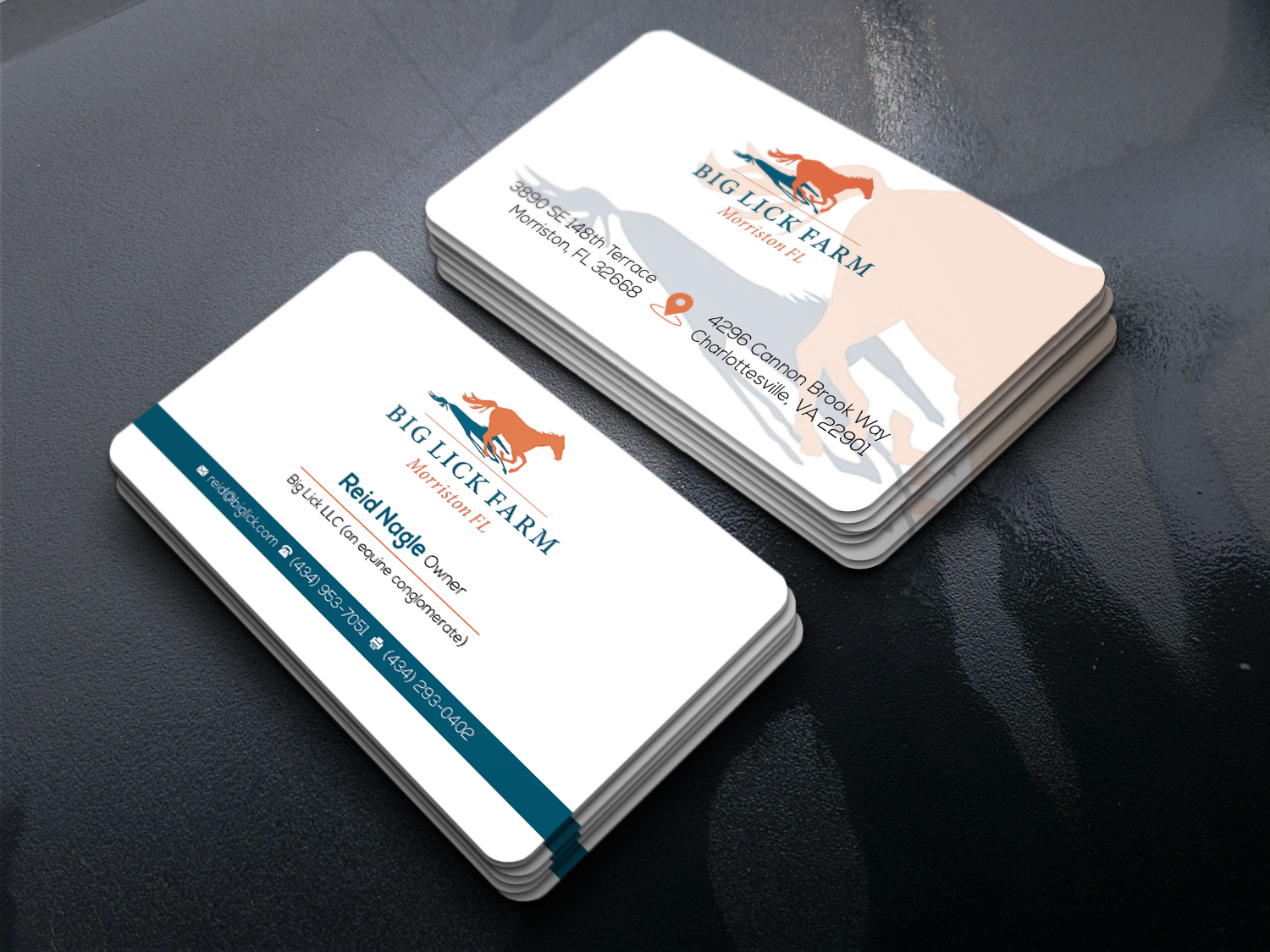 Business Card Design by DesignBird™ for Big Lick LLC | Design #20036187